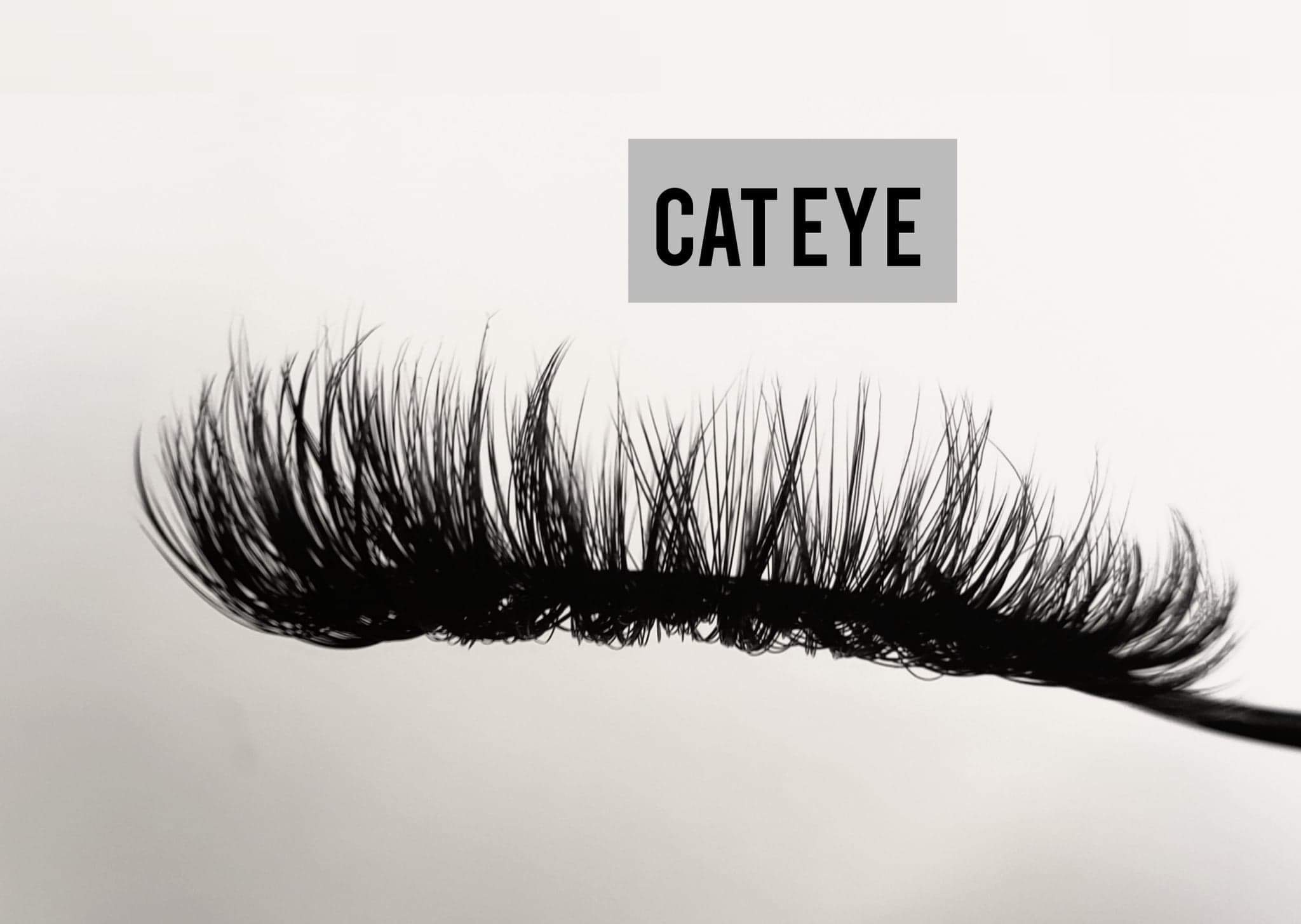 08FE19C4-8814-4D02-9162-675BA6884823